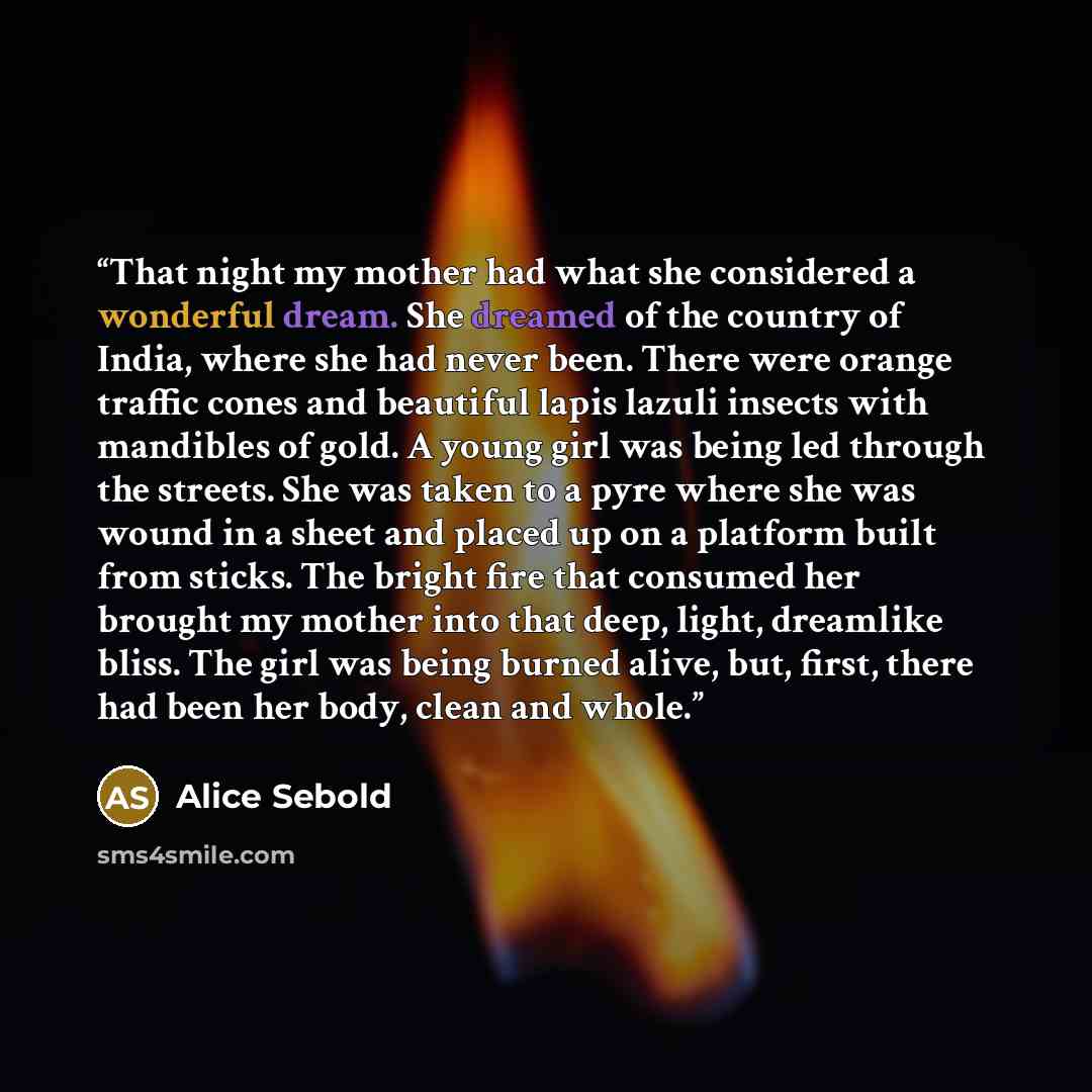 “That night my mother had what she considered a wonderful dream. She dreamed of the country of India, where she had never been. There were orange traffic cones and beautiful lapis lazuli insects with mandibles of gold. A young girl was being led through the streets. She was taken to a pyre where…” quote by Alice Sebold