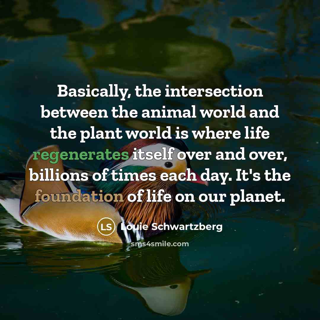 “Basically, the intersection between the animal world and the plant world is where life regenerates itself over and over, billions of times each day. It's the foundation of life on our planet.” quote by Louie Schwartzberg