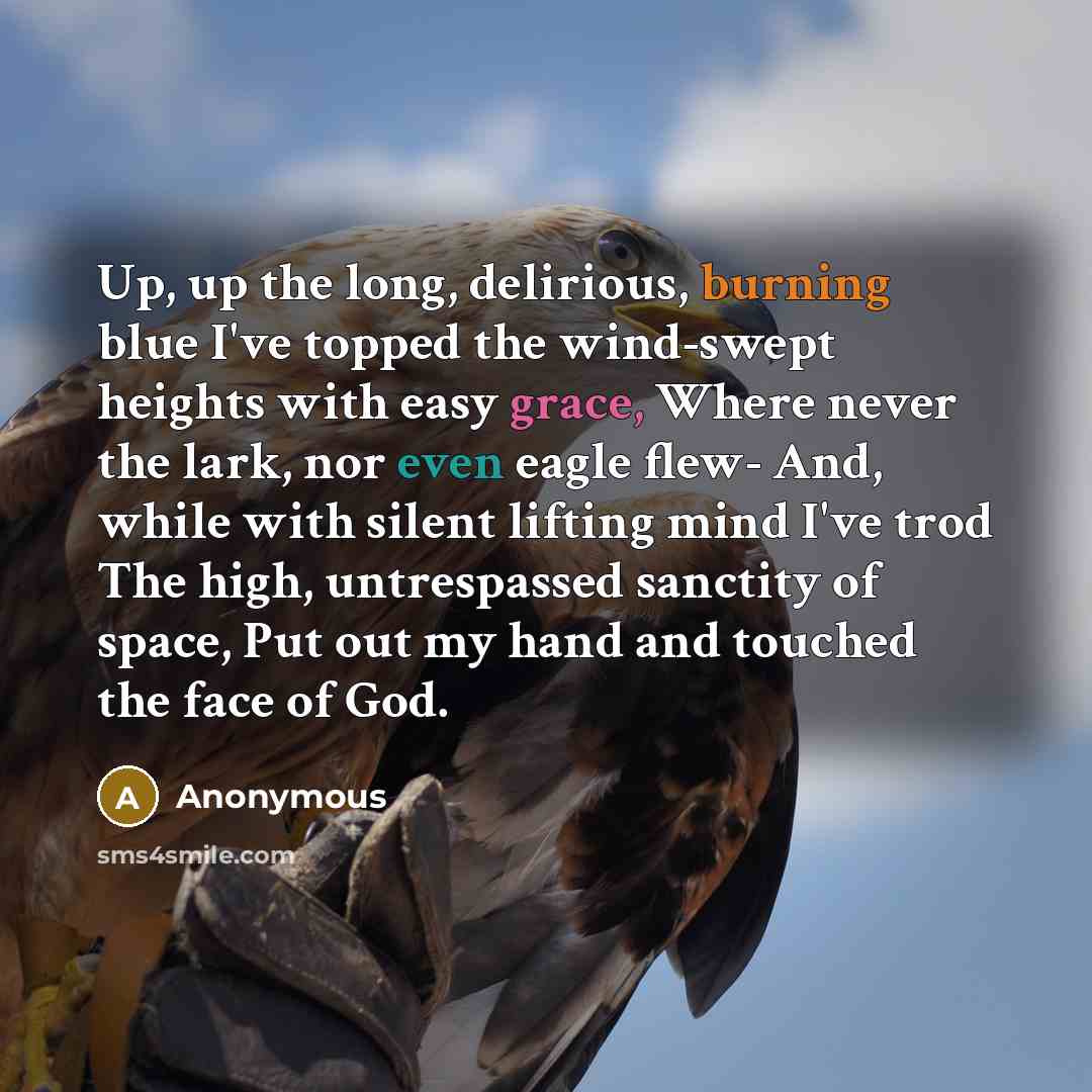 “Up, up the long, delirious, burning blue I've topped the wind-swept heights with easy grace, Where never the lark, nor even eagle flew- And, while with silent lifting mind I've trod The high, untrespassed sanctity of space, Put out my hand and touched the face of God.” quote by Anonymous