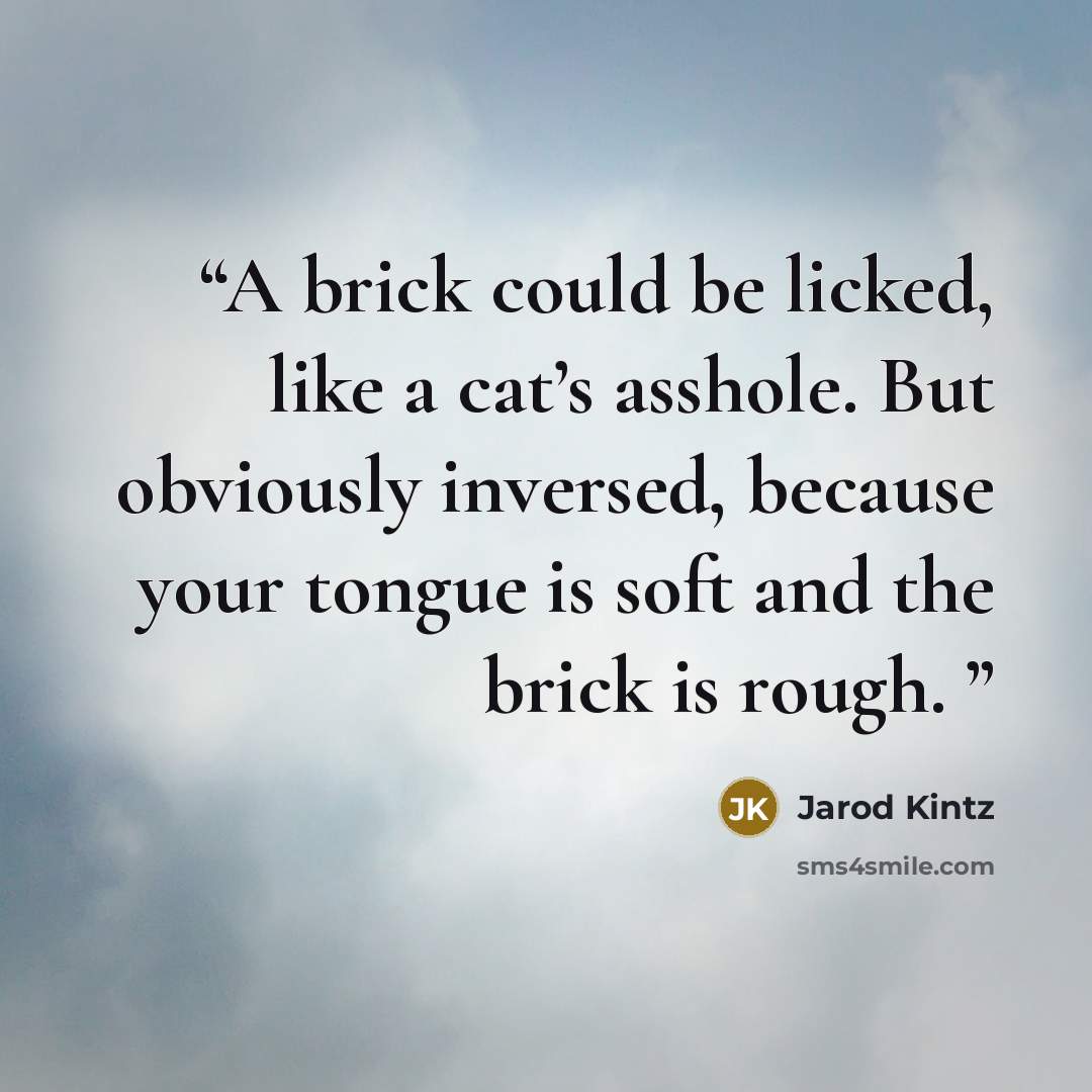 “A brick could be licked, like a cat’s asshole. But obviously inversed, because your tongue is soft and the brick is rough.” quote by Jarod Kintz