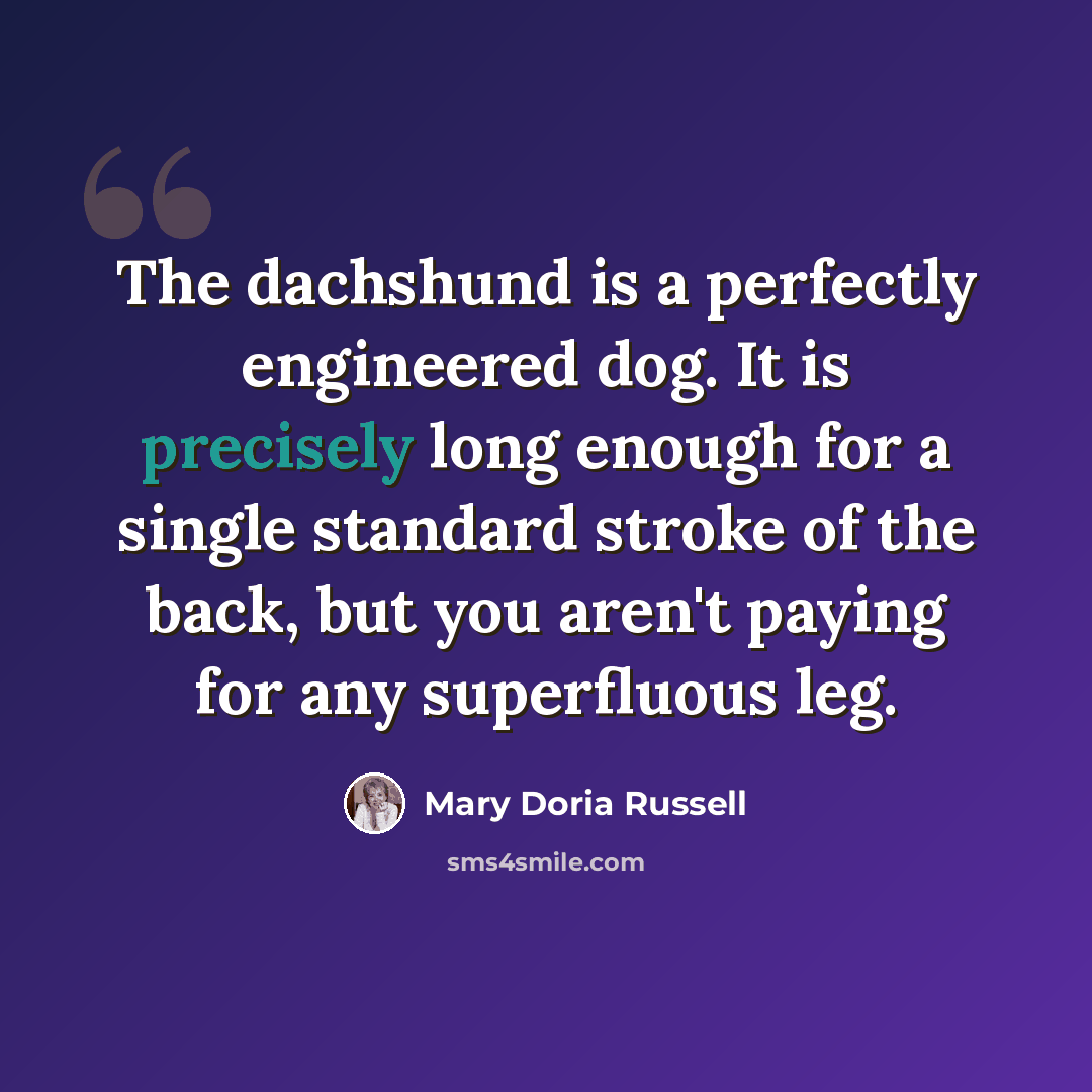 “The dachshund is a perfectly engineered dog. It is precisely long enough for a single standard stroke of the back, but you aren't paying for any superfluous leg.” quote by Mary Doria Russell