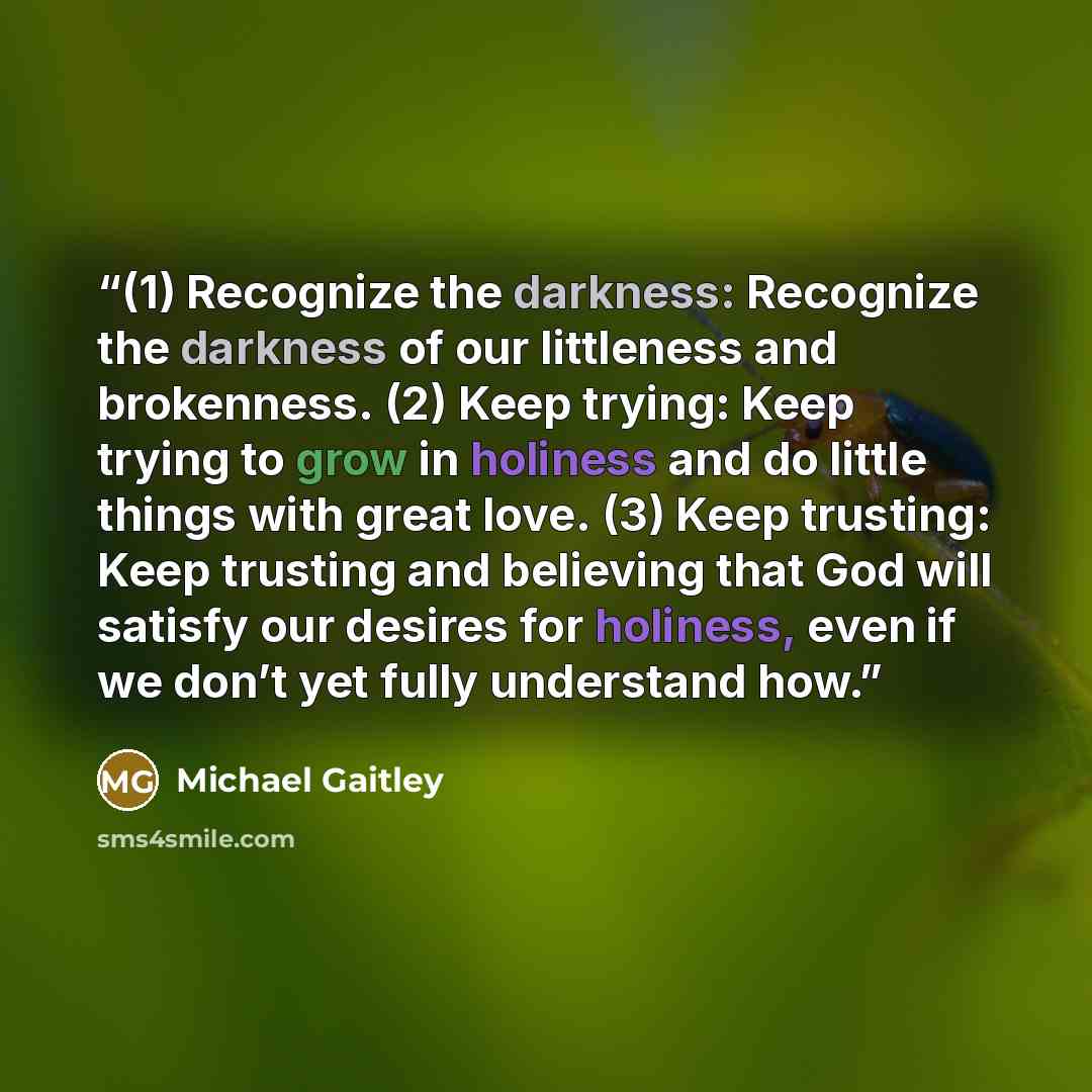 “(1) Recognize the darkness: Recognize the darkness of our littleness and brokenness. (2) Keep trying: Keep trying to grow in holiness and do little things with great love. (3) Keep trusting: Keep trusting and believing that God will satisfy our desires for holiness, even if we don’t yet fully…” quote by Michael Gaitley