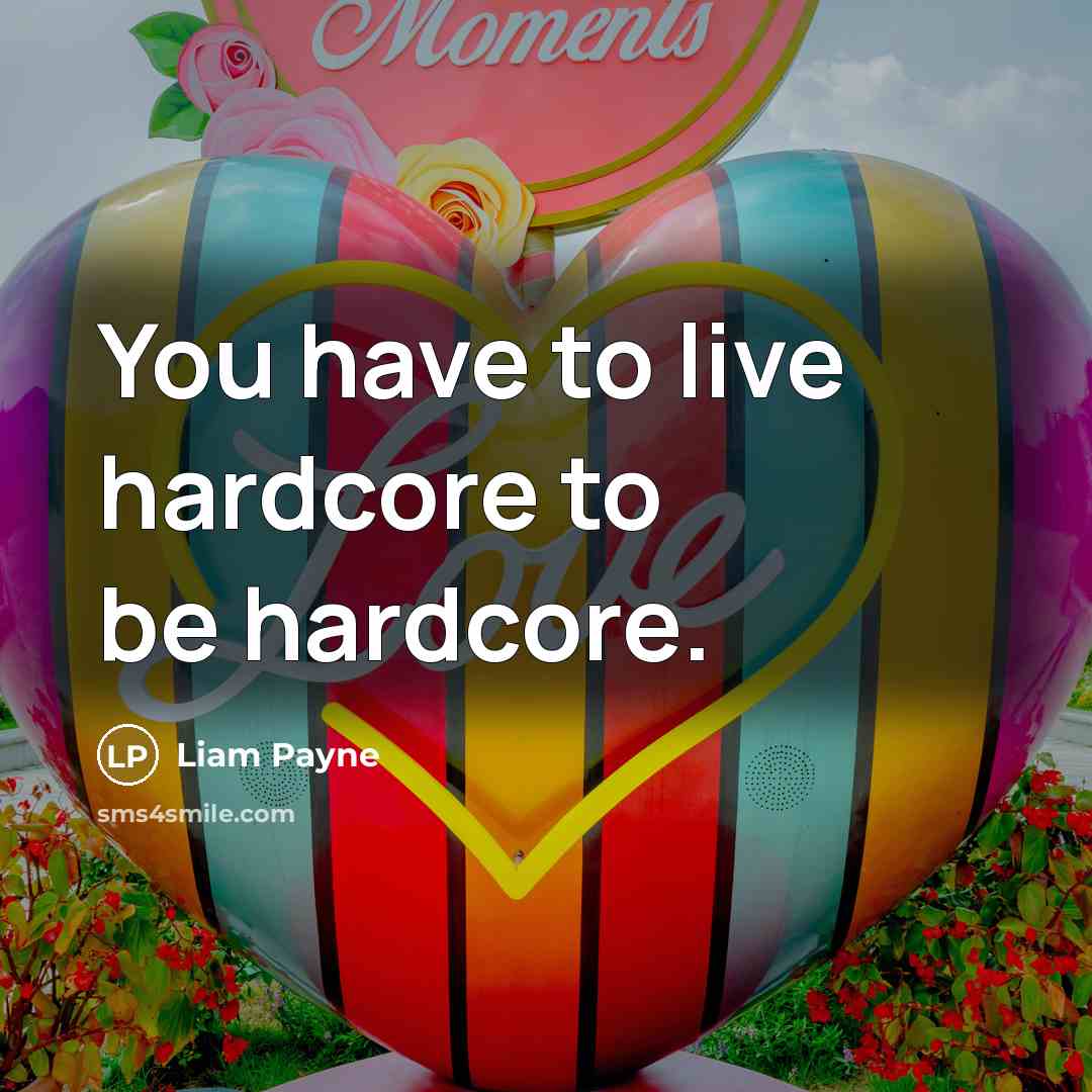 “You have to live hardcore to be hardcore.” quote by Liam Payne