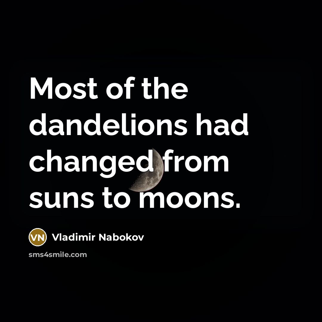 “Most of the dandelions had changed from suns to moons.” quote by Vladimir Nabokov