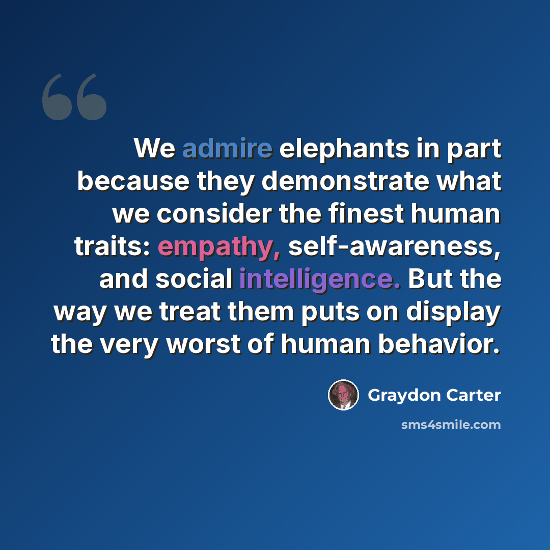 “We admire elephants in part because they demonstrate what we consider the finest human traits: empathy, self-awareness, and social intelligence. But the way we treat them puts on display the very worst of human behavior.” quote by Graydon Carter