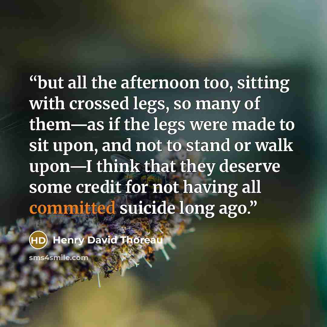 “but all the afternoon too, sitting with crossed legs, so many of them—as if the legs were made to sit upon, and not to stand or walk upon—I think that they deserve some credit for not having all committed suicide long ago.” quote by Henry David Thoreau