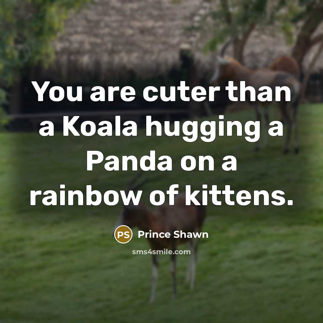 “You are cuter than a Koala hugging a Panda on a rainbow of kittens.” quote by Prince Shawn