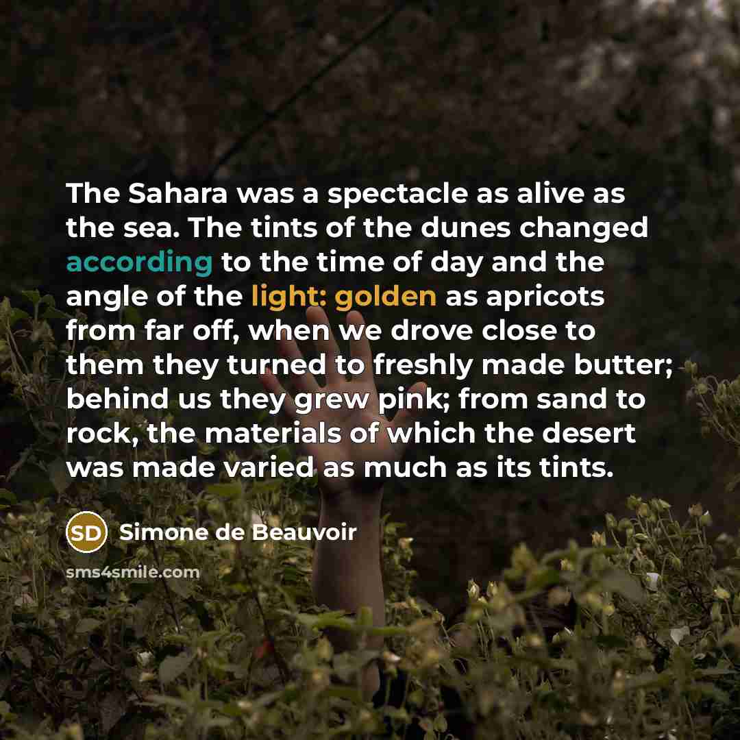“The Sahara was a spectacle as alive as the sea. The tints of the dunes changed according to the time of day and the angle of the light: golden as apricots from far off, when we drove close to them they turned to freshly made butter; behind us they grew pink; from sand to rock, the materials of…” quote by Simone de Beauvoir
