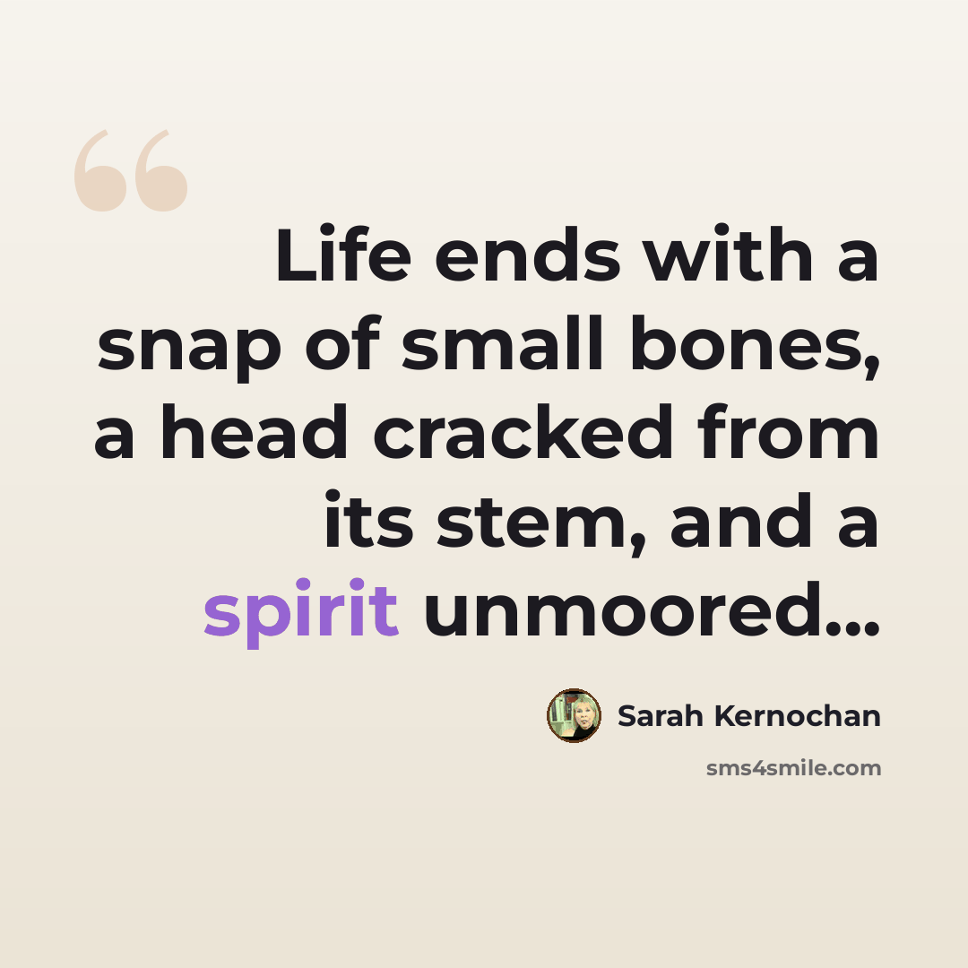 “Life ends with a snap of small bones, a head cracked from its stem, and a spirit unmoored...” quote by Sarah Kernochan