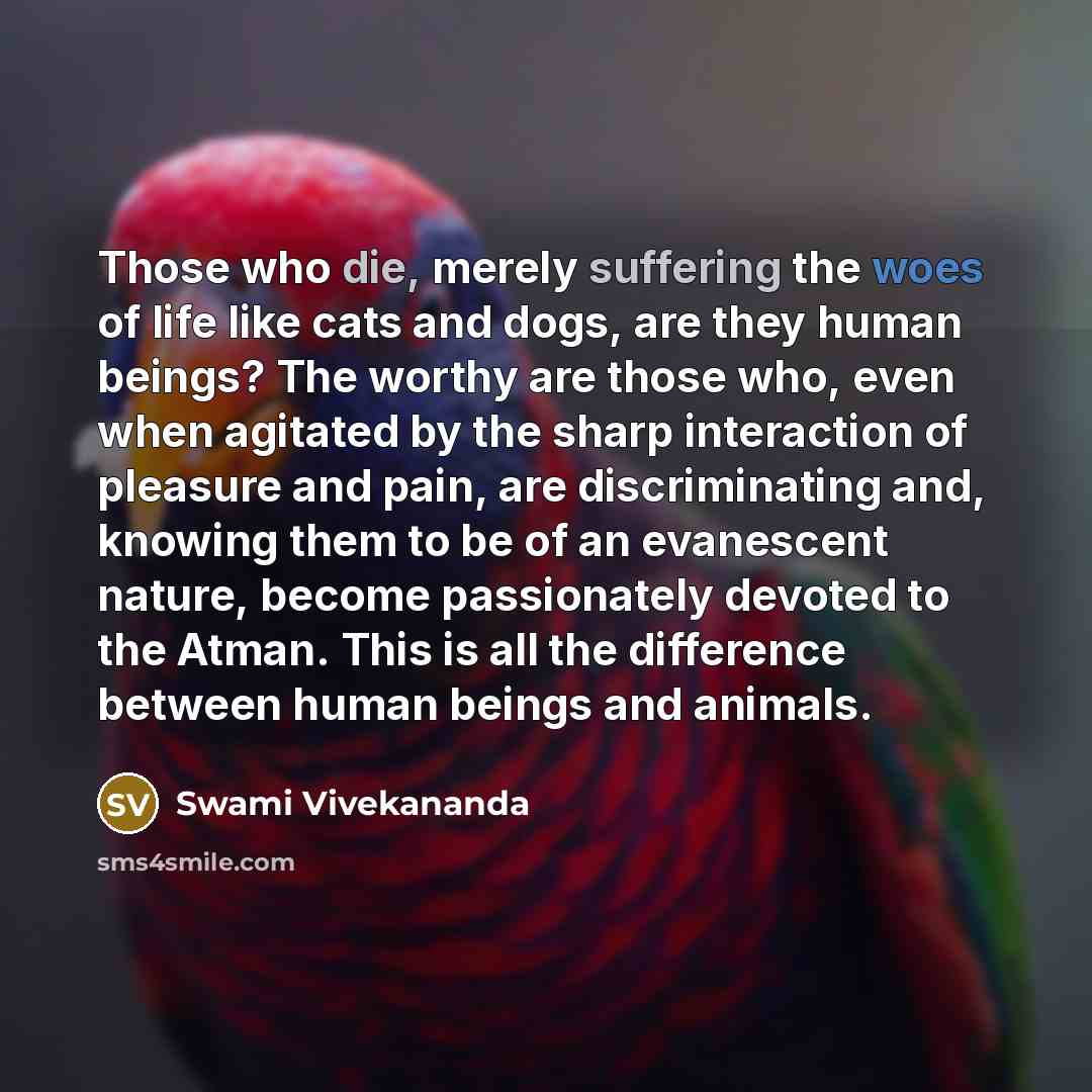 “Those who die, merely suffering the woes of life like cats and dogs, are they human beings? The worthy are those who, even when agitated by the sharp interaction of pleasure and pain, are discriminating and, knowing them to be of an evanescent nature, become passionately devoted to the Atman. This…” quote by Swami Vivekananda