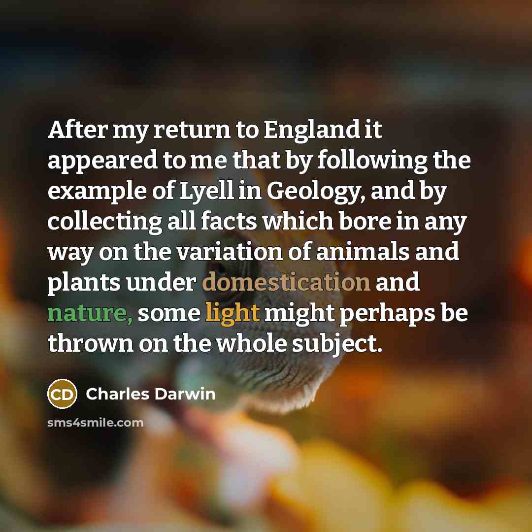 “After my return to England it appeared to me that by following the example of Lyell in Geology, and by collecting all facts which bore in any way on the variation of animals and plants under domestication and nature, some light might perhaps be thrown on the whole subject.” quote by Charles Darwin