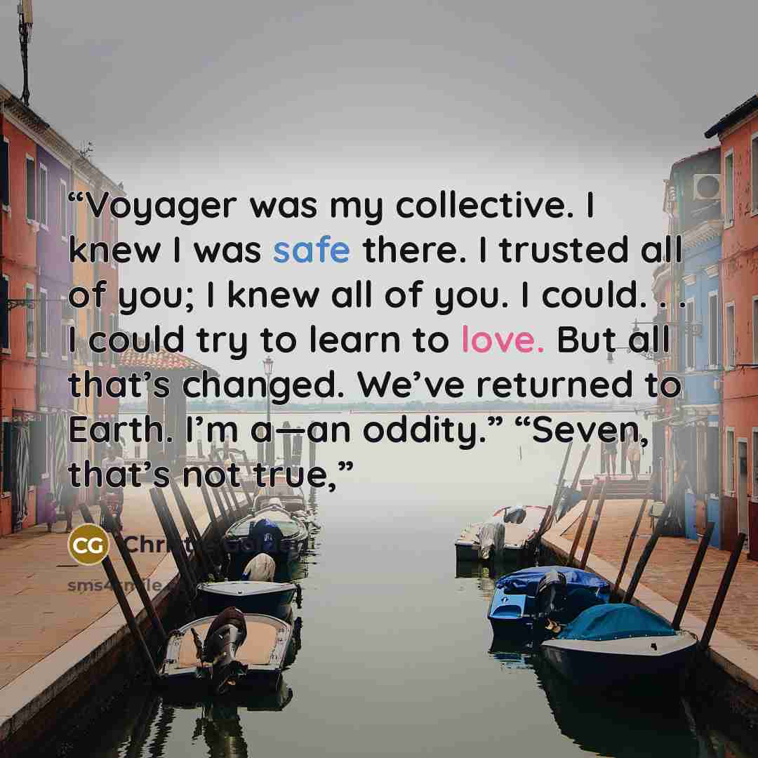 “Voyager was my collective. I knew I was safe there. I trusted all of you; I knew all of you. I could. . . I could try to learn to love. But all that’s changed. We’ve returned to Earth. I’m a—an oddity.” “Seven, that’s not true,” quote by Christie Golden