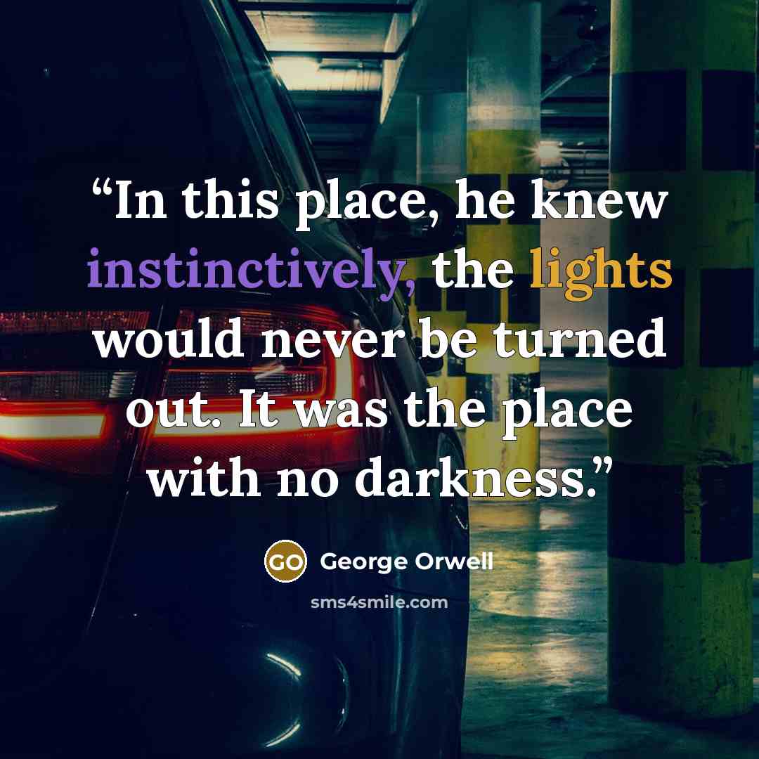 “In this place, he knew instinctively, the lights would never be turned out. It was the place with no darkness.” quote by George Orwell