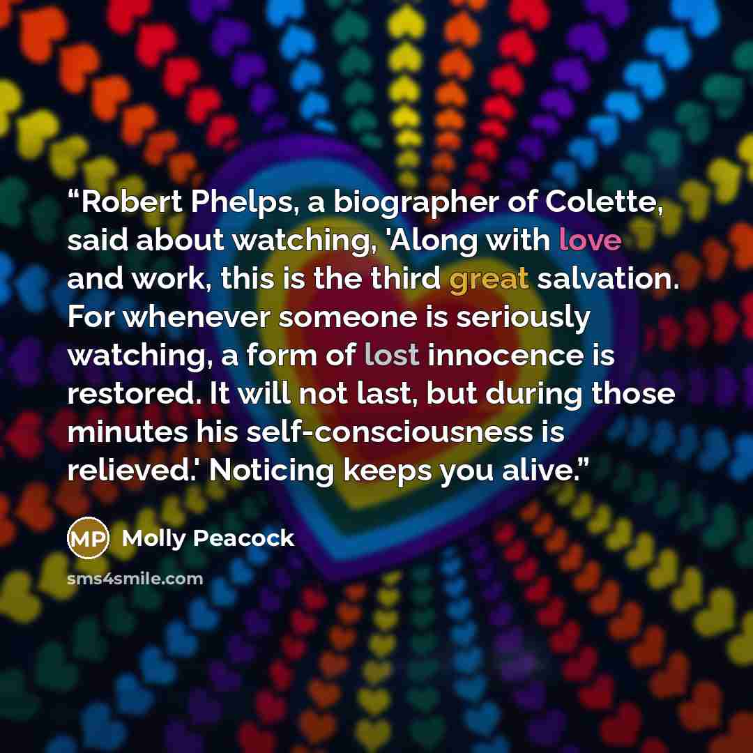 “Robert Phelps, a biographer of Colette, said about watching, 'Along with love and work, this is the third great salvation. For whenever someone is seriously watching, a form of lost innocence is restored. It will not last, but during those minutes his self-consciousness is relieved.' Noticing…” quote by Molly Peacock