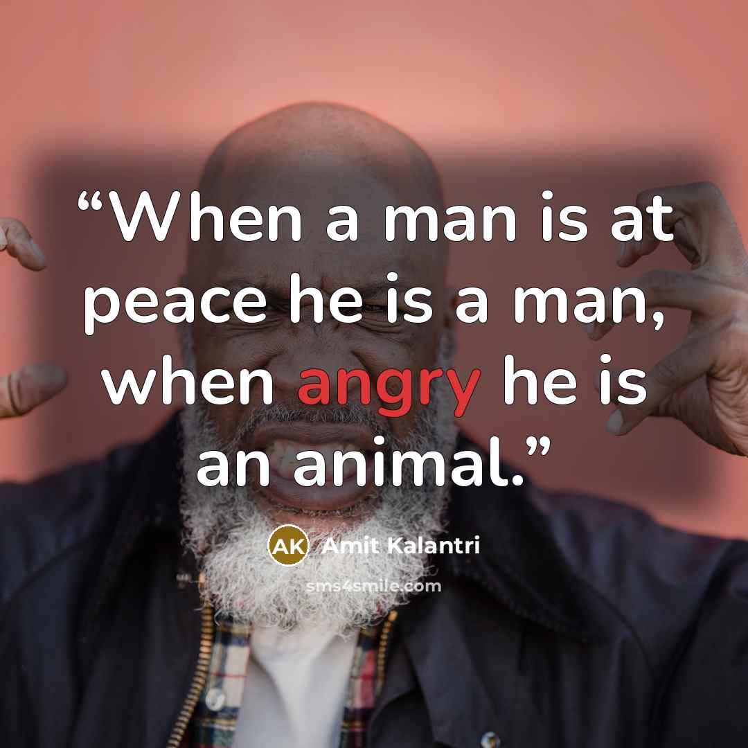 “When a man is at peace he is a man, when angry he is an animal.” quote by Amit Kalantri