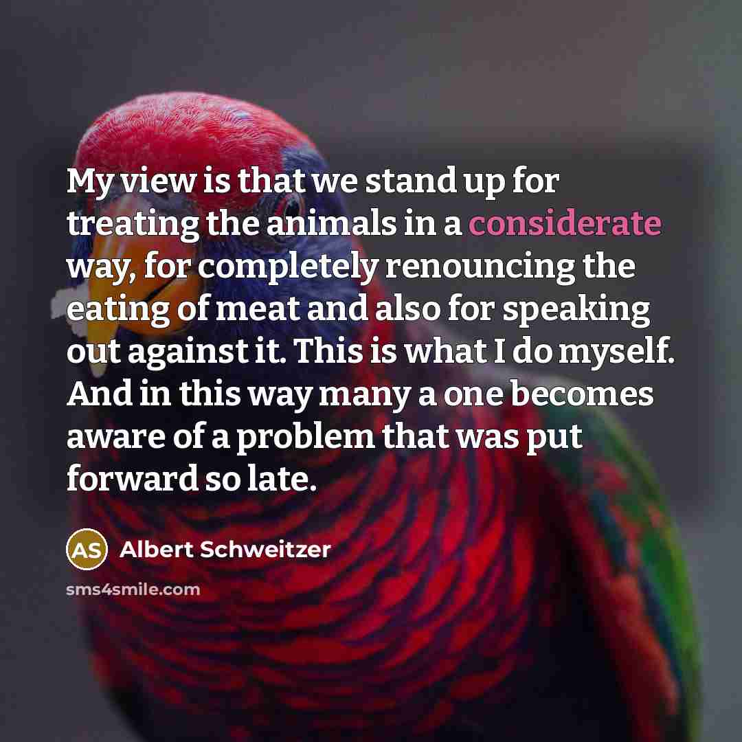 “My view is that we stand up for treating the animals in a considerate way, for completely renouncing the eating of meat and also for speaking out against it. This is what I do myself. And in this way many a one becomes aware of a problem that was put forward so late.” quote by Albert Schweitzer