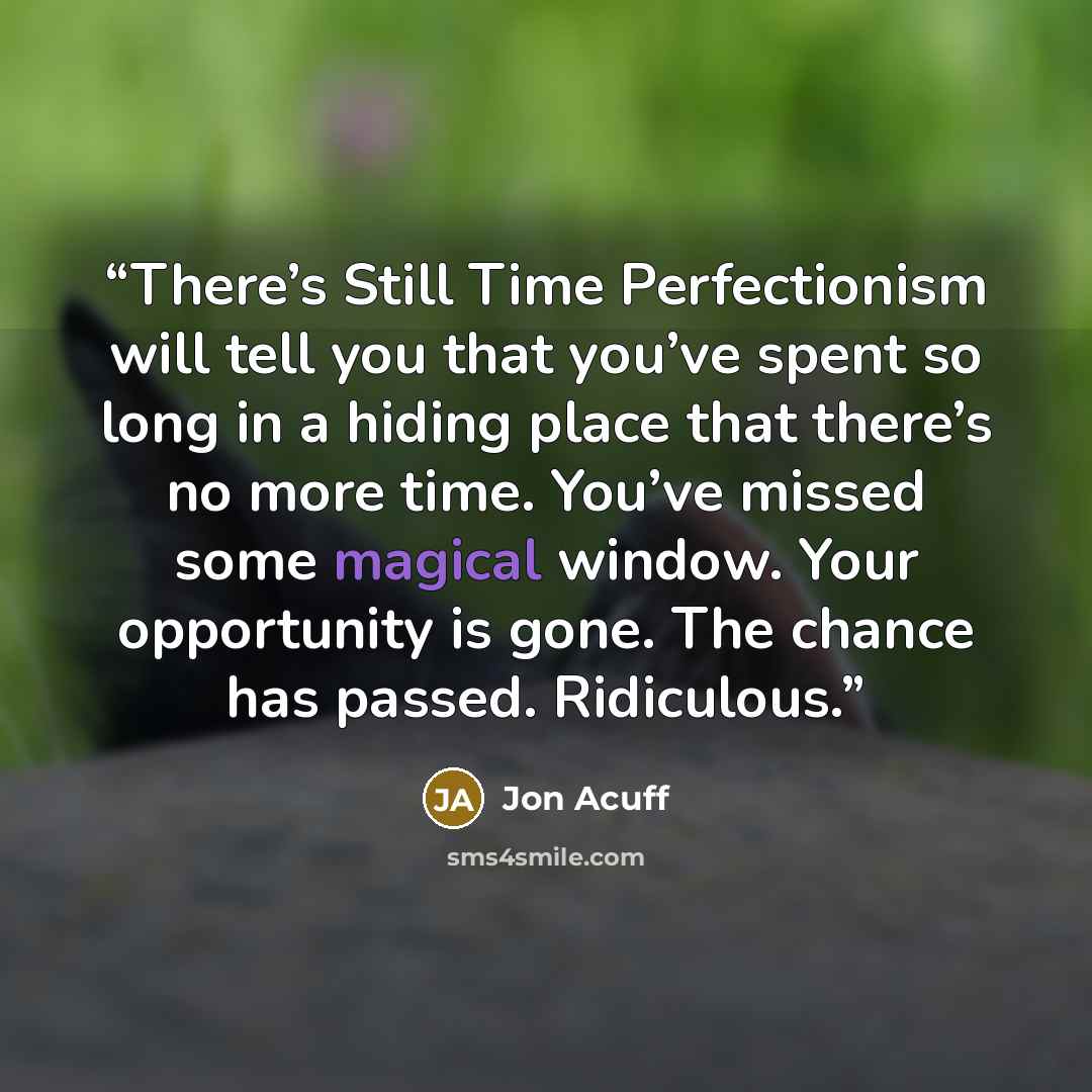 “There’s Still Time Perfectionism will tell you that you’ve spent so long in a hiding place that there’s no more time. You’ve missed some magical window. Your opportunity is gone. The chance has passed. Ridiculous.” quote by Jon Acuff