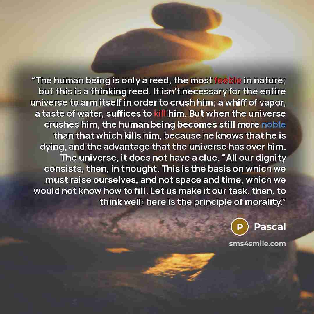“The human being is only a reed, the most feeble in nature; but this is a thinking reed. It isn't necessary for the entire universe to arm itself in order to crush him; a whiff of vapor, a taste of water, suffices to kill him. But when the universe crushes him, the human being becomes still more…” quote by Pascal