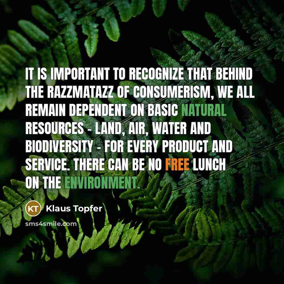 “It is important to recognize that behind the razzmatazz of consumerism, we all remain dependent on basic natural resources - land, air, water and biodiversity - for every product and service. There can be no free lunch on the environment.” quote by Klaus Topfer