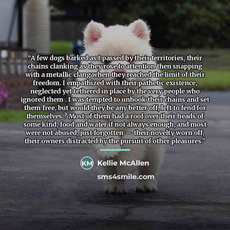 “A few dogs barked as I passed by their territories, their chains clanking as they rose to attention then snapping with a metallic clang when they reached the limit of their freedom. I empathized with their pathetic existence, neglected yet tethered in place by the very people who ignored them . I…” quote by Kellie McAllen