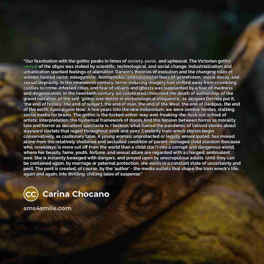 “Our fascination with the gothic peaks in times of anxiety, panic, and upheaval. The Victorian gothic revival of the 1890s was stoked by scientific, technological, and social change. Industrialization and urbanization sparked feelings of alienation. Darwin's theories of evolution and the changing…” quote by Carina Chocano