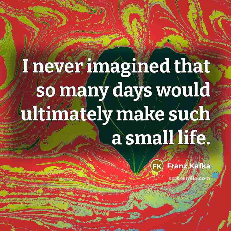 “I never imagined that so many days would ultimately make such a small life.” quote by Franz Kafka