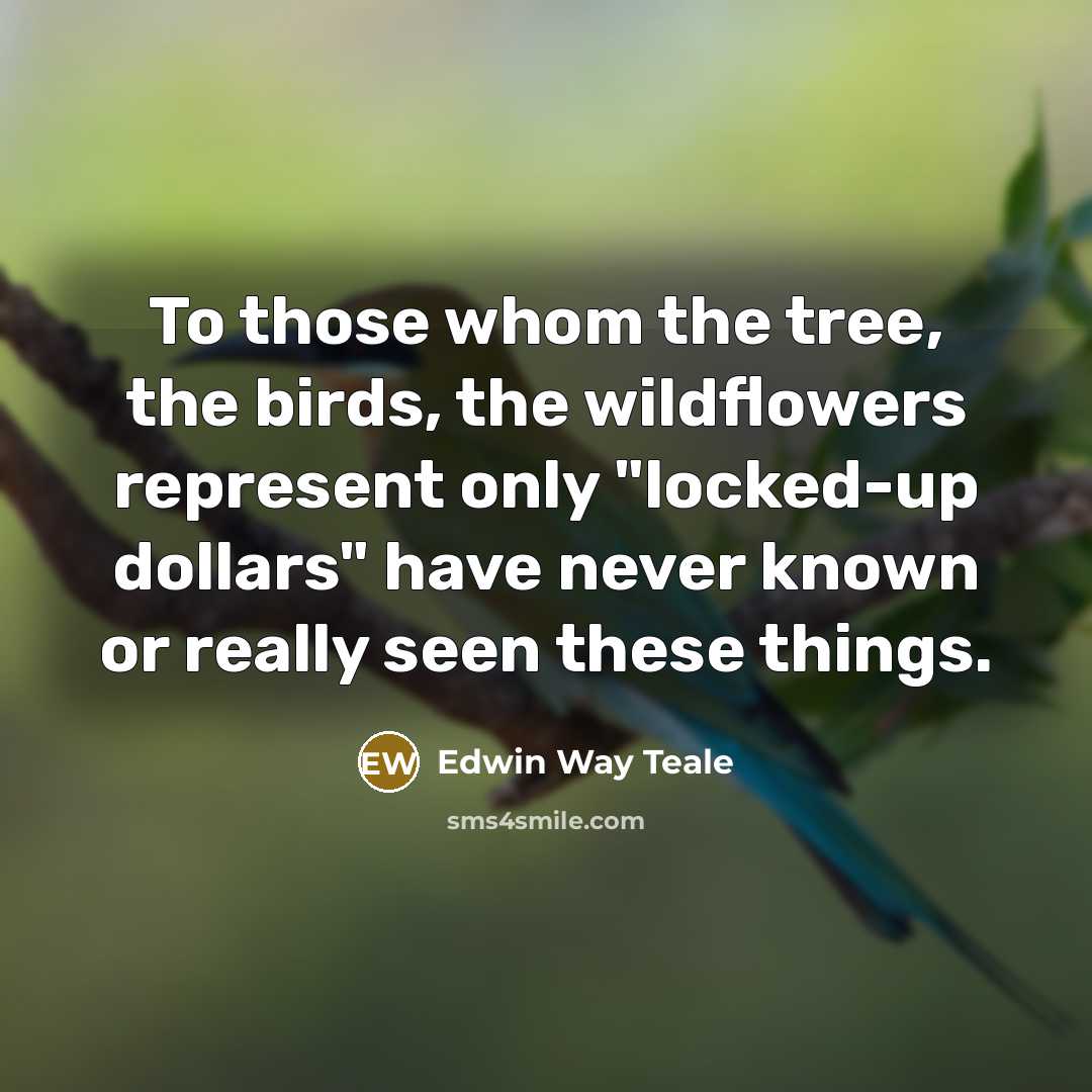 “To those whom the tree, the birds, the wildflowers represent only "locked-up dollars" have never known or really seen these things.” quote by Edwin Way Teale