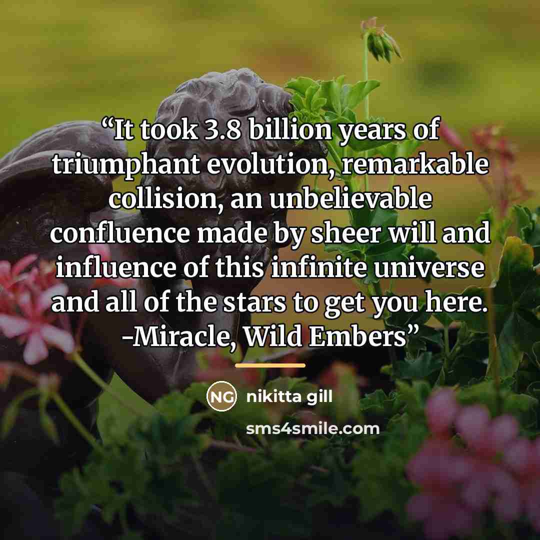 “It took 3.8 billion years of triumphant evolution, remarkable collision, an unbelievable confluence made by sheer will and influence of this infinite universe and all of the stars to get you here. -Miracle, Wild Embers” quote by nikitta gill