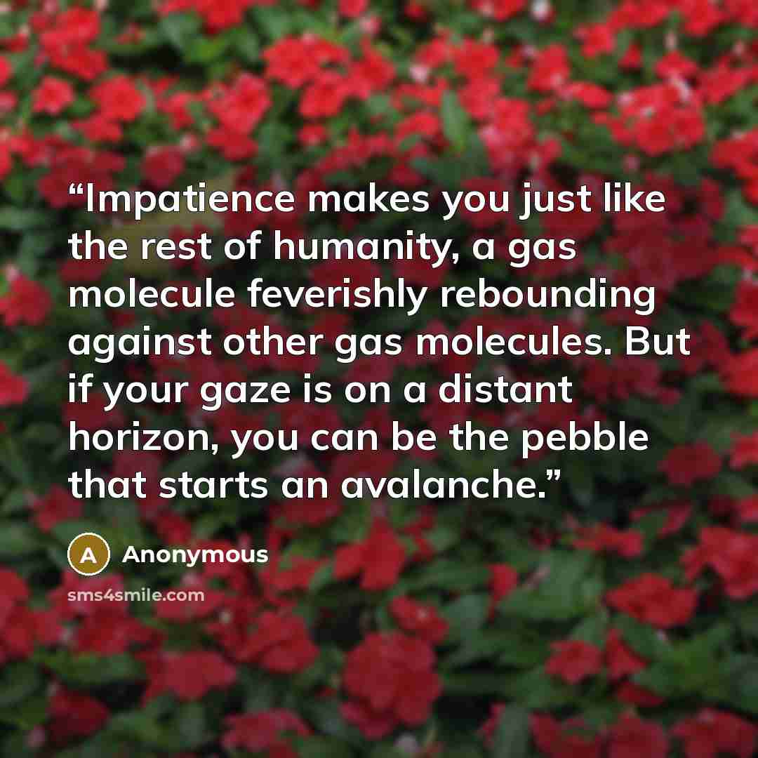 “Impatience makes you just like the rest of humanity, a gas molecule feverishly rebounding against other gas molecules. But if your gaze is on a distant horizon, you can be the pebble that starts an avalanche.” quote by Anonymous