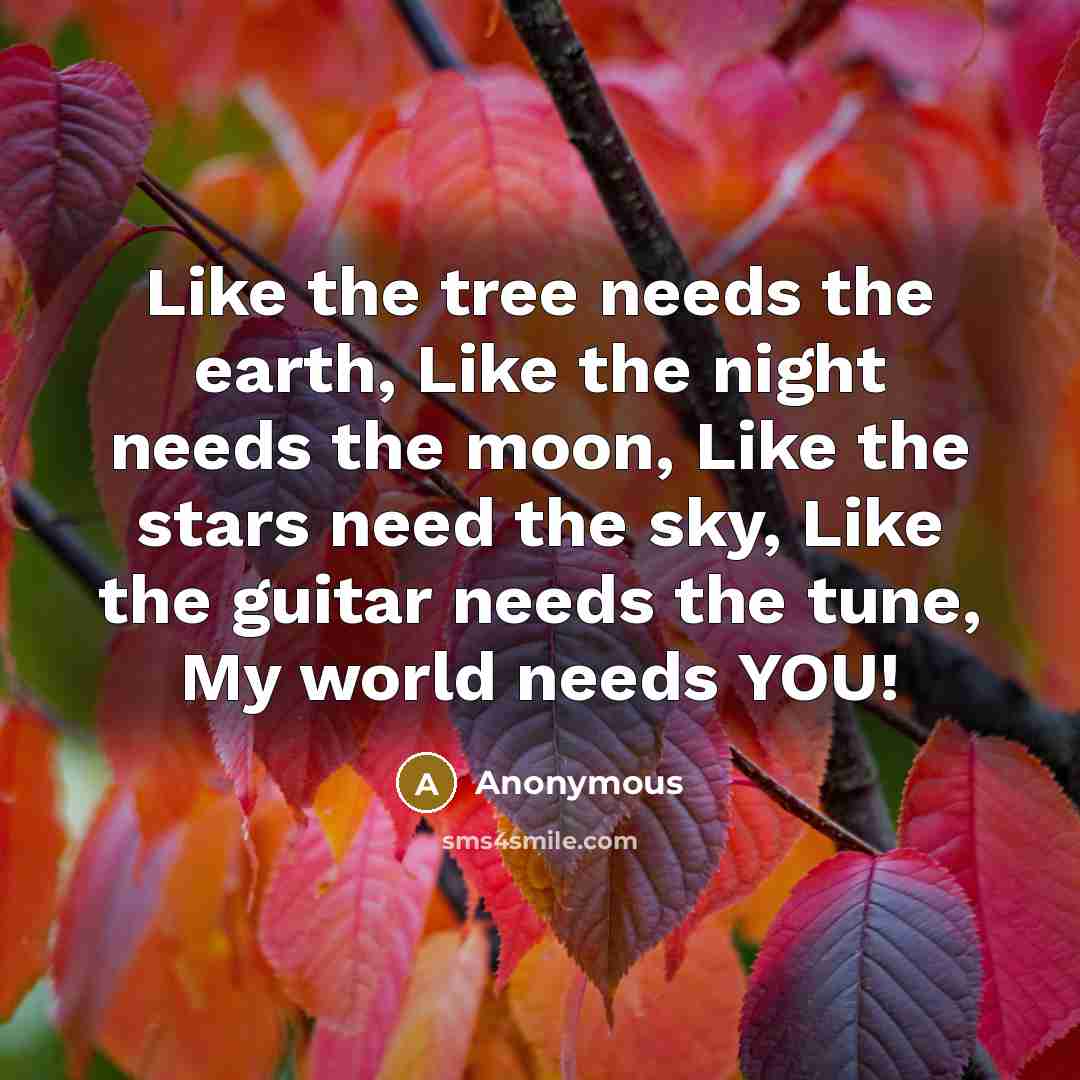“Like the tree needs the earth, Like the night needs the moon, Like the stars need the sky, Like the guitar needs the tune, My world needs YOU!” quote by Anonymous