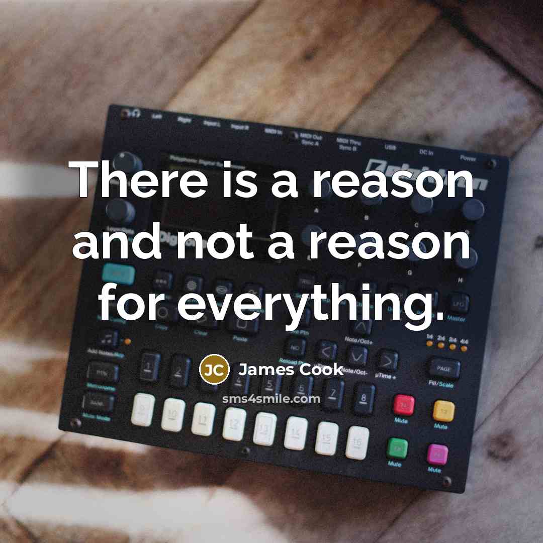 “There is a reason and not a reason for everything.” quote by James Cook