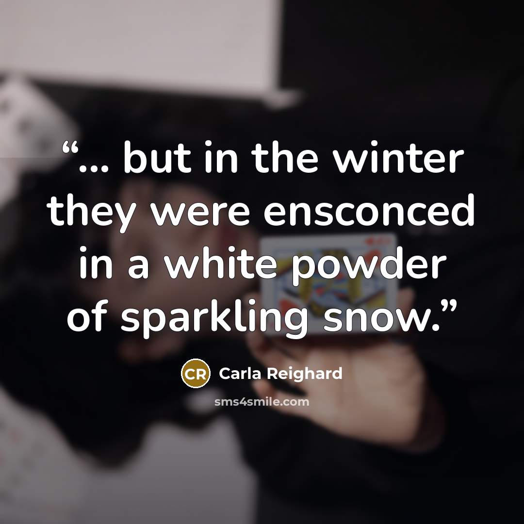 “... but in the winter they were ensconced in a white powder of sparkling snow.” quote by Carla Reighard