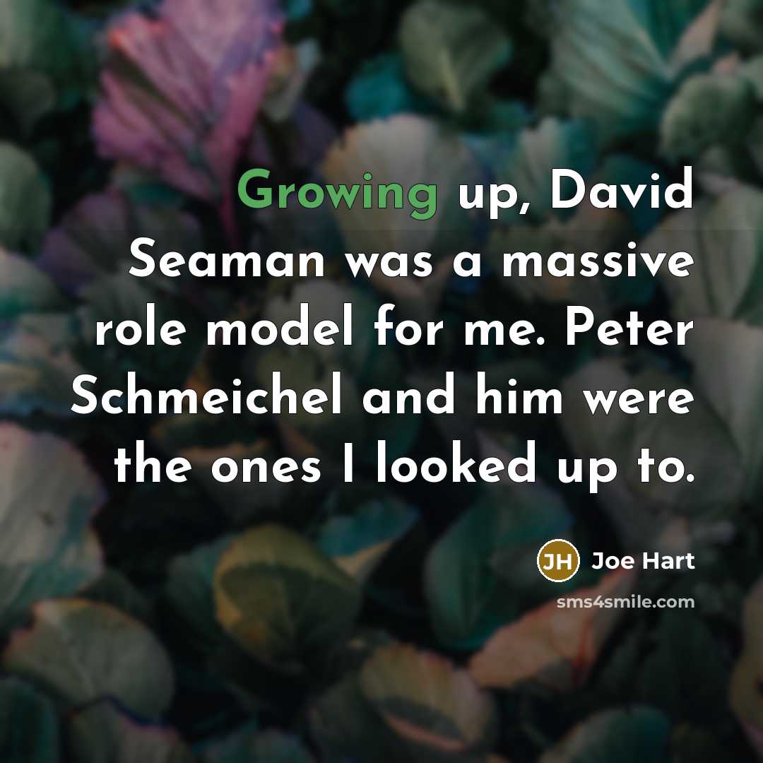 “Growing up, David Seaman was a massive role model for me. Peter Schmeichel and him were the ones I looked up to.” quote by Joe Hart