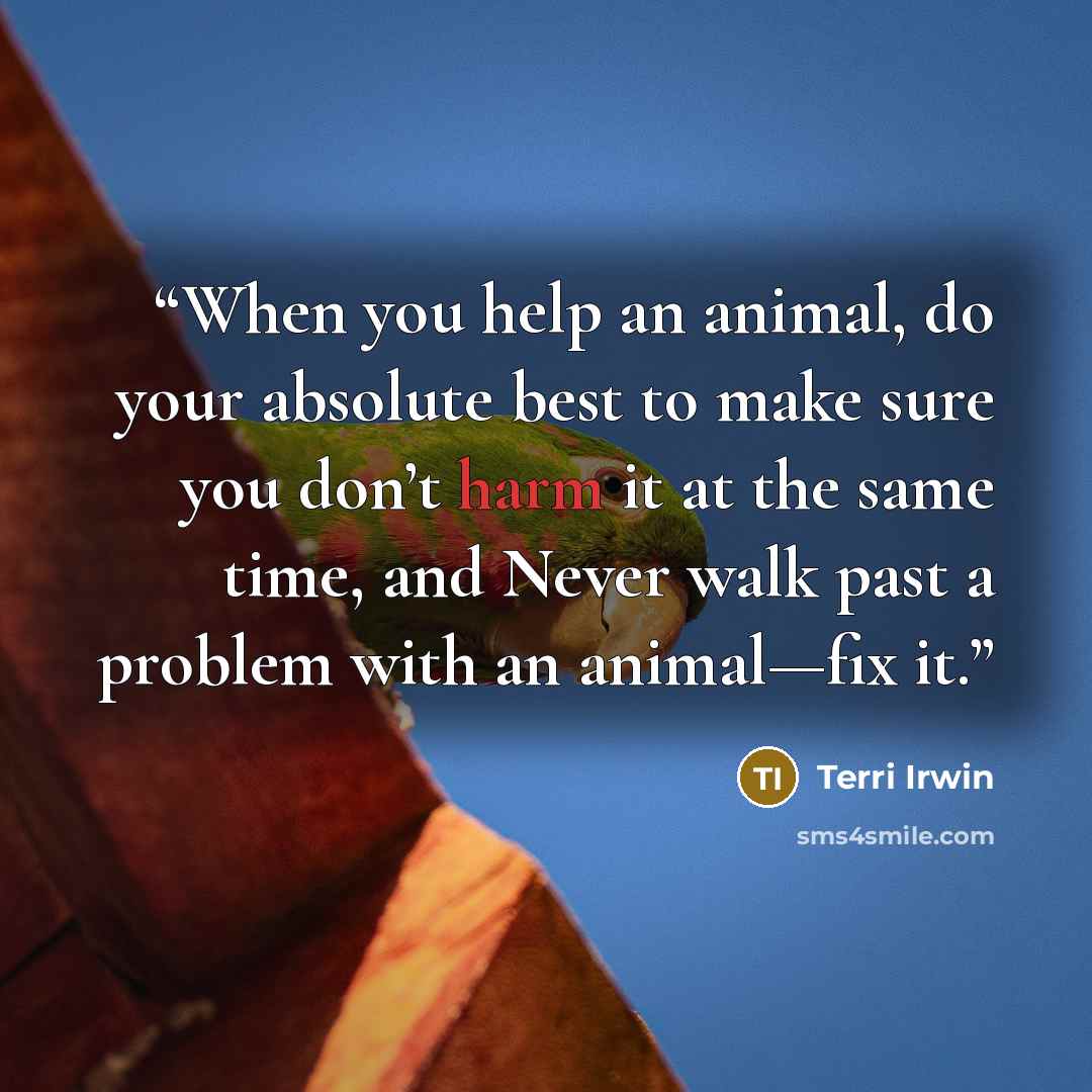 “When you help an animal, do your absolute best to make sure you don’t harm it at the same time, and Never walk past a problem with an animal—fix it.” quote by Terri Irwin
