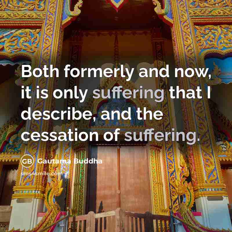 “Both formerly and now, it is only suffering that I describe, and the cessation of suffering.” quote by Gautama Buddha