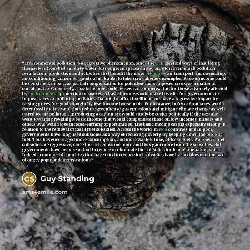 “Environmental pollution is a regressive phenomenon, since the rich can find ways of insulating themselves from bad air, dirty water, loss of green spaces and so on. Moreover, much pollution results from production and activities that benefit the more affluent – air transport, car ownership, air…” quote by Guy Standing