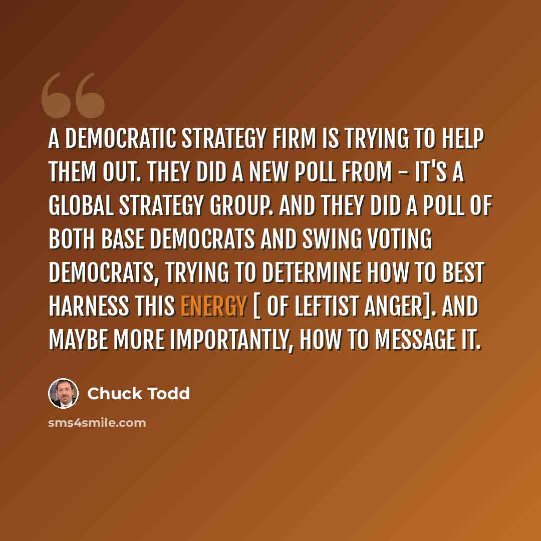 “A Democratic strategy firm is trying to help them out. They did a new poll from - it's a global strategy group. And they did a poll of both base Democrats and swing voting Democrats, trying to determine how to best harness this energy [ of leftist anger]. And maybe more importantly, how to message…” quote by Chuck Todd