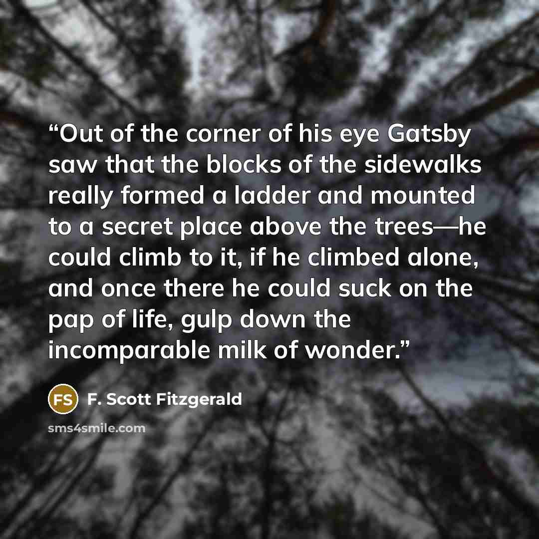 “Out of the corner of his eye Gatsby saw that the blocks of the sidewalks really formed a ladder and mounted to a secret place above the trees—he could climb to it, if he climbed alone, and once there he could suck on the pap of life, gulp down the incomparable milk of wonder.” quote by F. Scott Fitzgerald