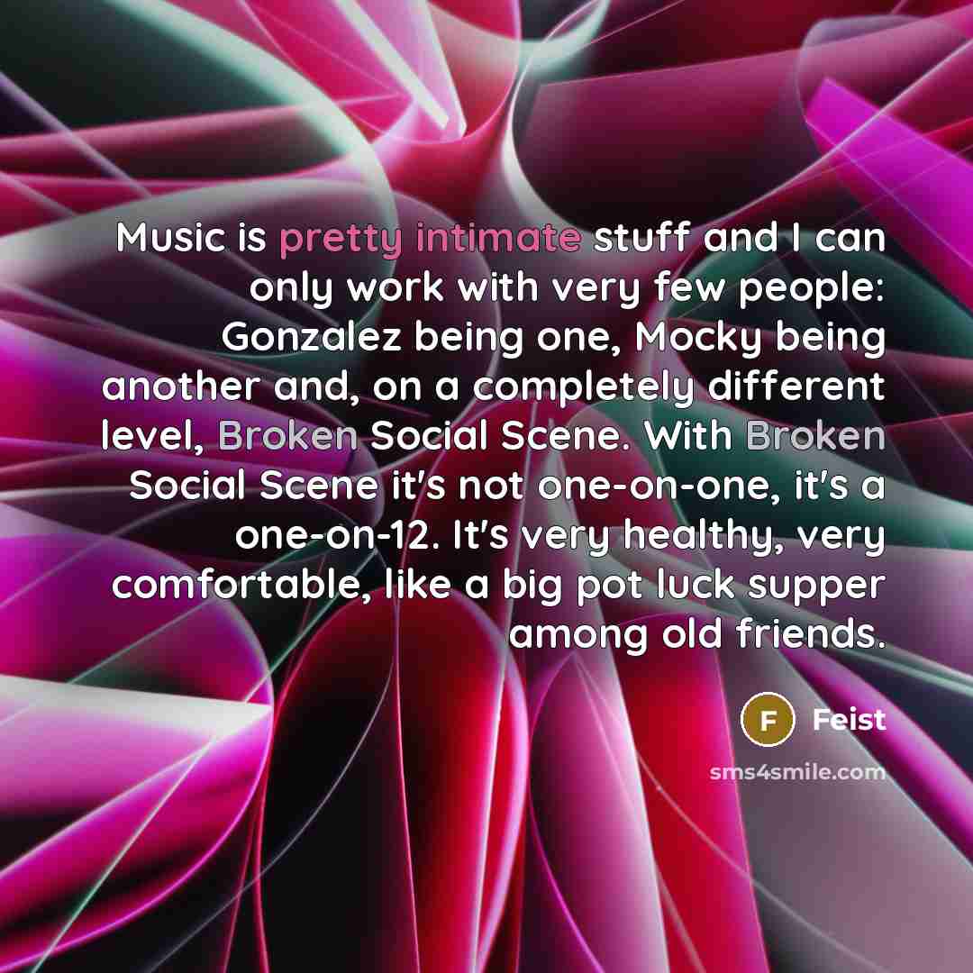 “Music is pretty intimate stuff and I can only work with very few people: Gonzalez being one, Mocky being another and, on a completely different level, Broken Social Scene. With Broken Social Scene it's not one-on-one, it's a one-on-12. It's very healthy, very comfortable, like a big pot luck…” quote by Feist