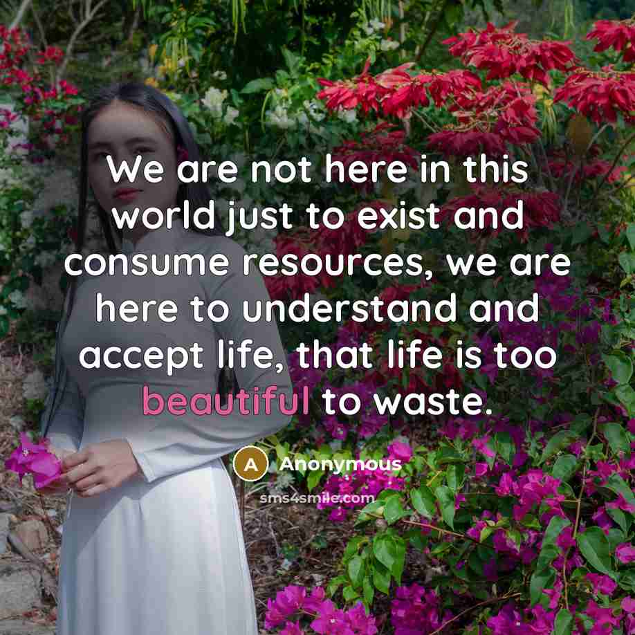 “We are not here in this world just to exist and consume resources, we are here to understand and accept life, that life is too beautiful to waste.” quote by Anonymous