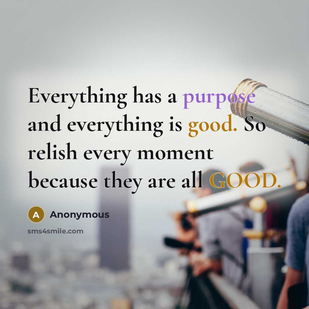 “Everything has a purpose and everything is good. So relish every moment because they are all GOOD.” quote by Anonymous