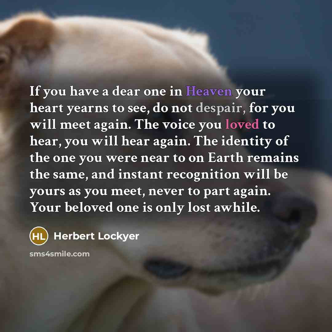 “If you have a dear one in Heaven your heart yearns to see, do not despair, for you will meet again. The voice you loved to hear, you will hear again. The identity of the one you were near to on Earth remains the same, and instant recognition will be yours as you meet, never to part again. Your…” quote by Herbert Lockyer