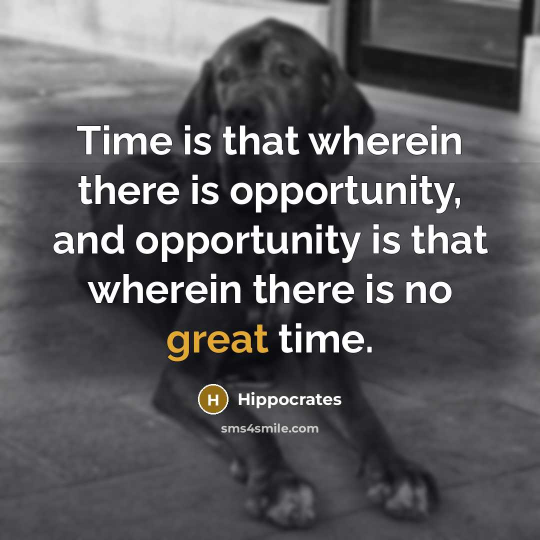 “Time is that wherein there is opportunity, and opportunity is that wherein there is no great time.” quote by Hippocrates