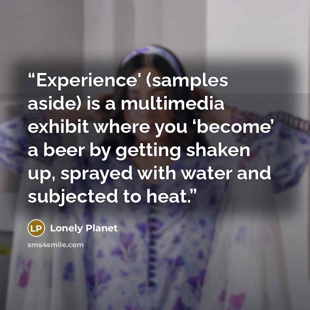 “Experience' (samples aside) is a multimedia exhibit where you ‘become’ a beer by getting shaken up, sprayed with water and subjected to heat.” quote by Lonely Planet
