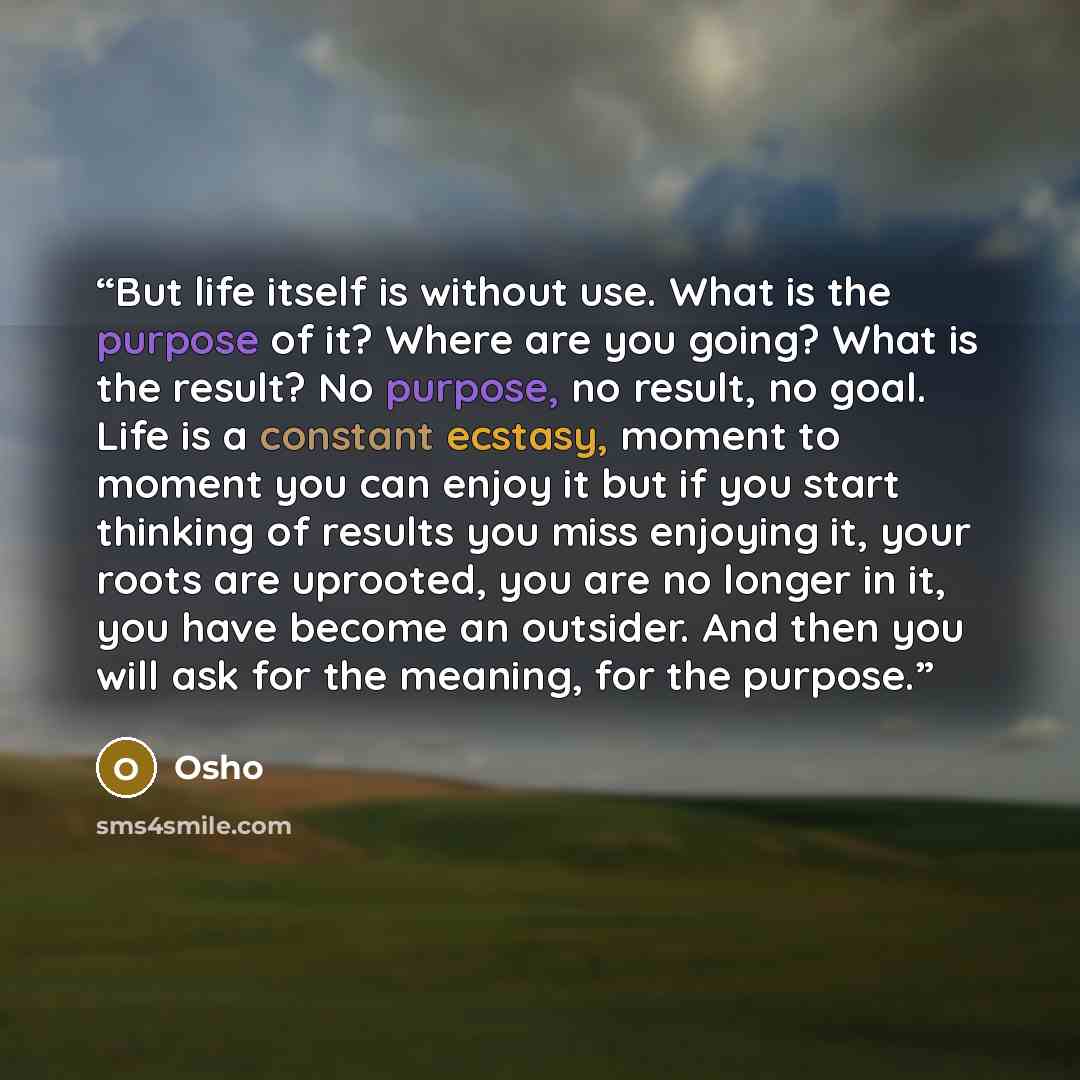 “But life itself is without use. What is the purpose of it? Where are you going? What is the result? No purpose, no result, no goal. Life is a constant ecstasy, moment to moment you can enjoy it but if you start thinking of results you miss enjoying it, your roots are uprooted, you are no longer in…” quote by Osho