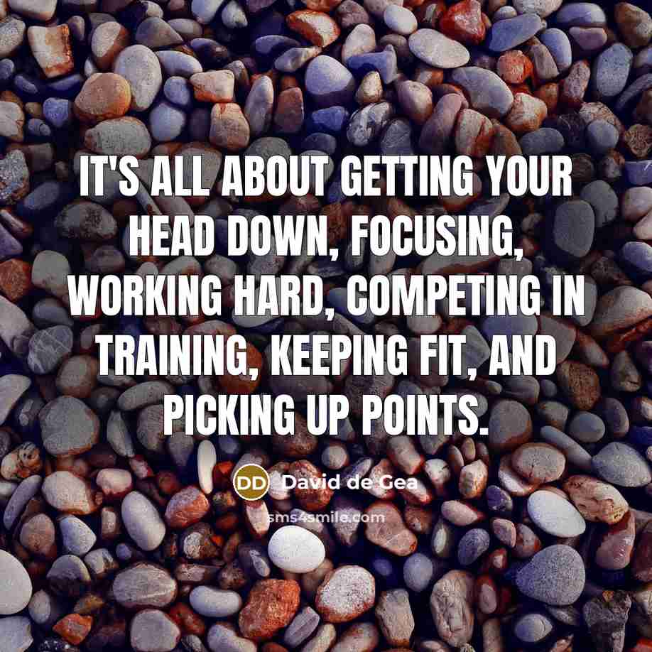 “It's all about getting your head down, focusing, working hard, competing in training, keeping fit, and picking up points.” quote by David de Gea