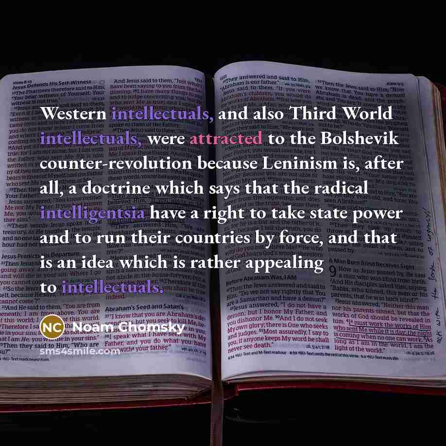 “Western intellectuals, and also Third World intellectuals, were attracted to the Bolshevik counter-revolution because Leninism is, after all, a doctrine which says that the radical intelligentsia have a right to take state power and to run their countries by force, and that is an idea which is…” quote by Noam Chomsky