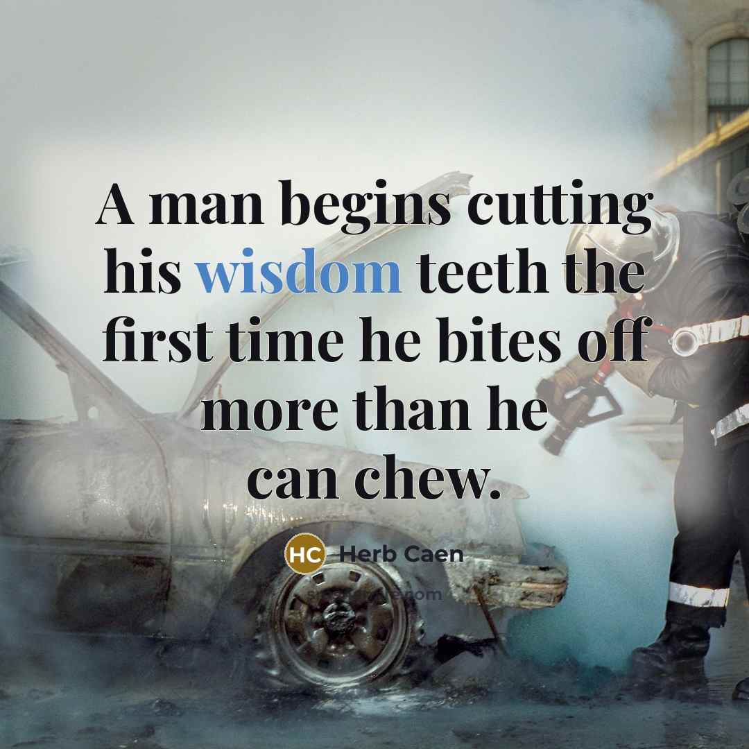 “A man begins cutting his wisdom teeth the first time he bites off more than he can chew.” quote by Herb Caen
