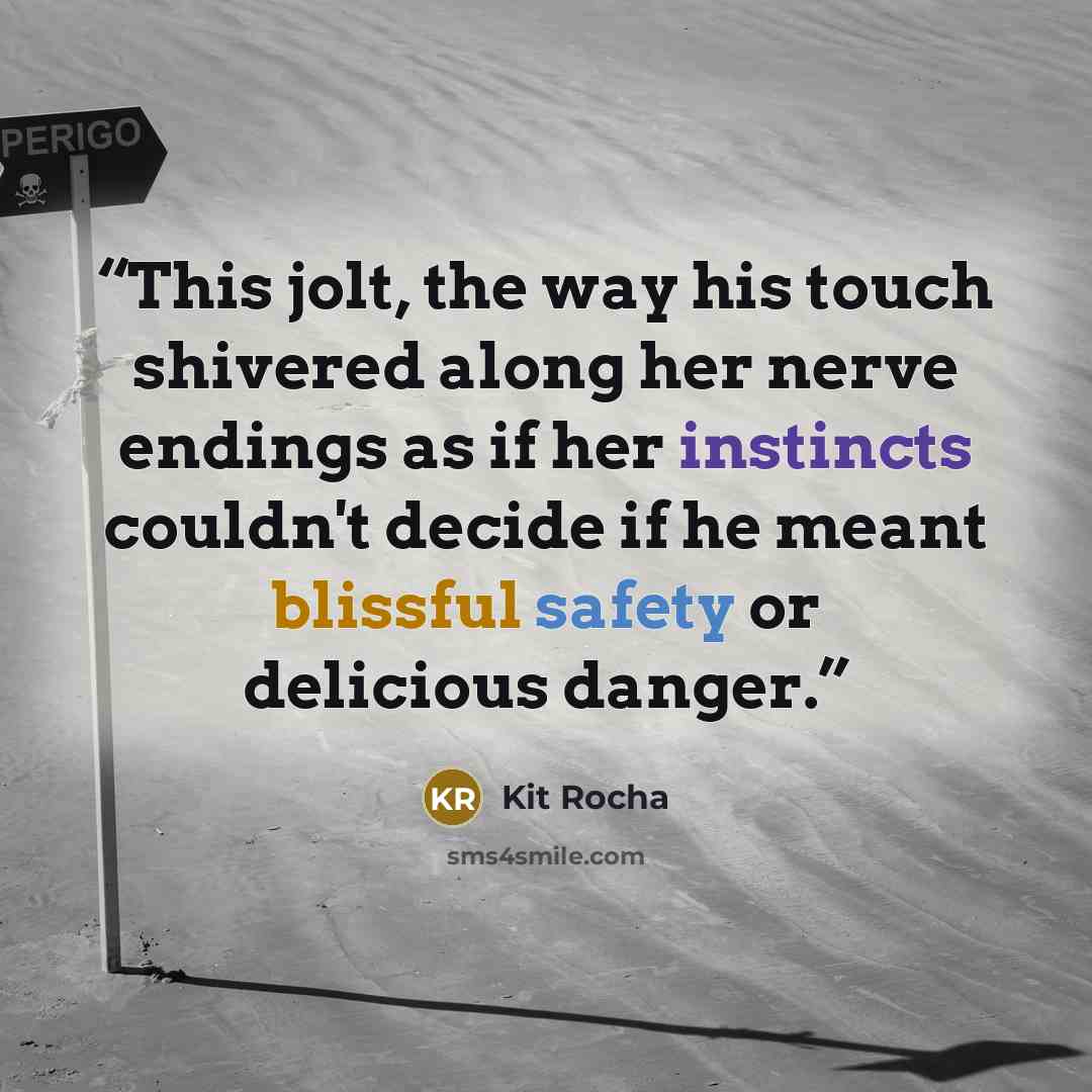 “This jolt, the way his touch shivered along her nerve endings as if her instincts couldn't decide if he meant blissful safety or delicious danger.” quote by Kit Rocha
