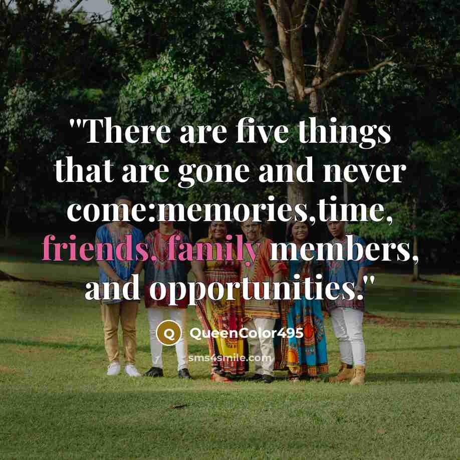“''There are five things that are gone and never come:memories,time, friends, family members, and opportunities.''” quote by QueenColor495